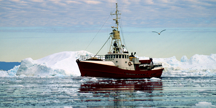 Fishing boat surrounded by ice in Arctic waters