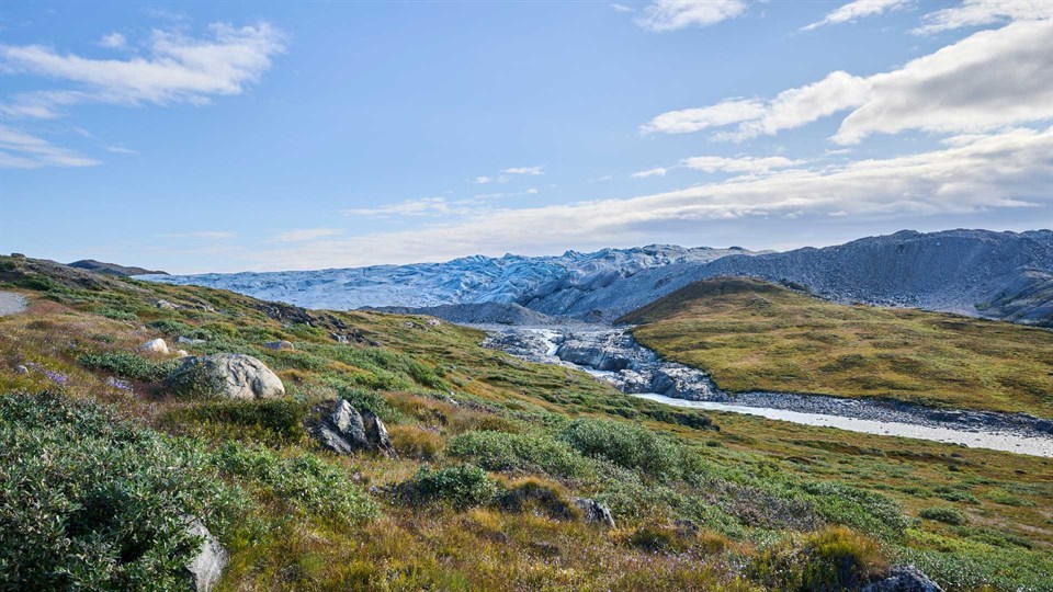 Glacier