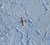 Forskere fra DTU Space overflyver og måler på isen i det arktiske område 2017. (Foto: DTU Space/NASA)